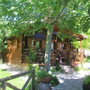 Pinos Arroyo Frío